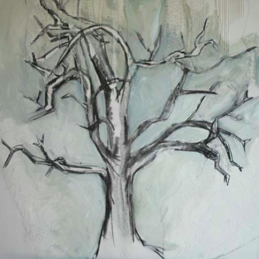 boom door lida meines