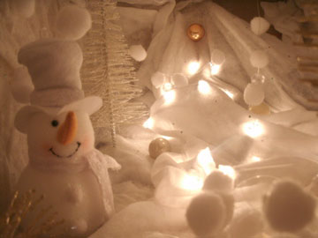 surprise sneeuwlandschap